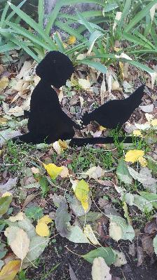 little girl feeding chicken garden stake 