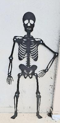 skeleton fred 