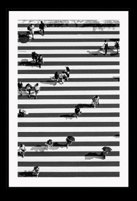 wednesday 50x70cm / white 