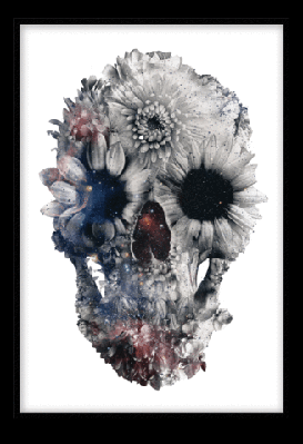 venus 50x70cm / black 