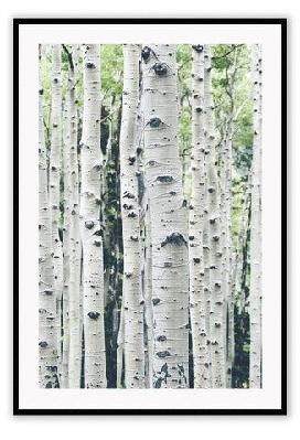 bosco large 80x110cm / gold 