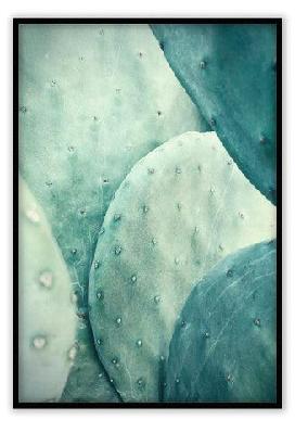 cactus small 50x70cm / oak 