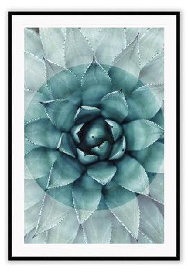 famosa medium 60x90cm / gold 