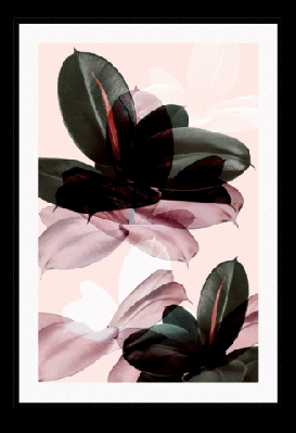 vermelli 50x70cm / black 