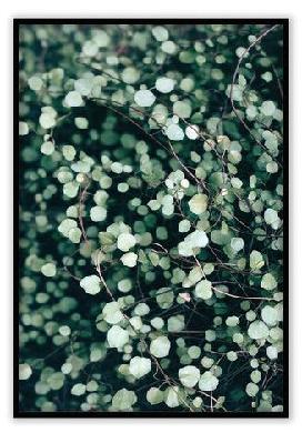 finale large 80x110cm / white 