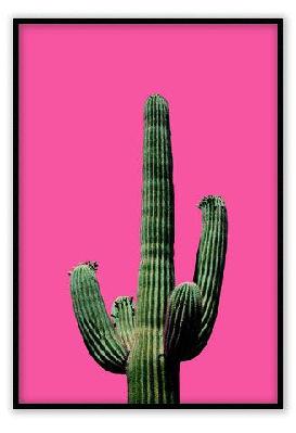 fluro cactus small 50x70cm / black 