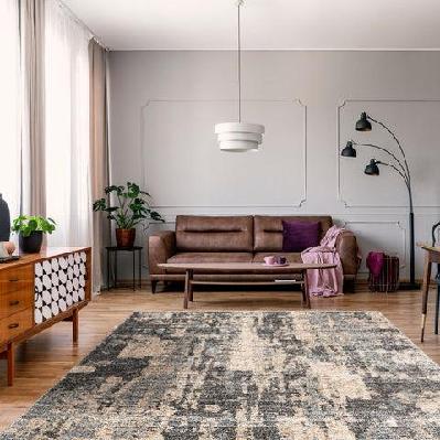 lotus 2617 light grey turkish rug 120x170 cm