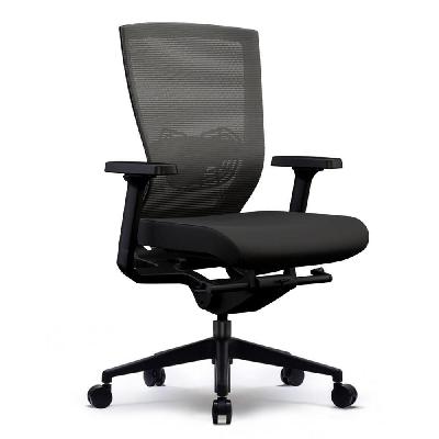 lucca task chair with arms