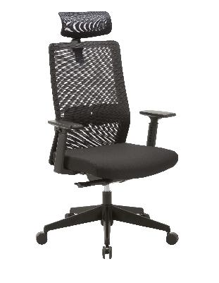 bryce mesh ergonomic office chair with headrest - black 