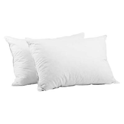 bedding set of 2 goose feather and down pillow - white