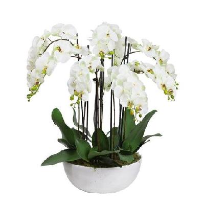 apple green phal orchid white artificial faux plant decorative arrangement in pot