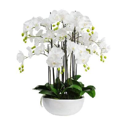 orchid 90cm artificial faux plant decorative arrangement in ceramic pot white