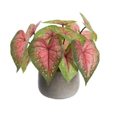 red caladium 30cm artificial plant flower arrangement decorative in pot
