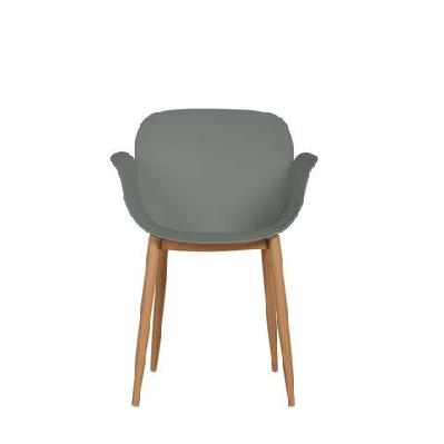 set of 2 olive kitchen dining chairs - olive olive