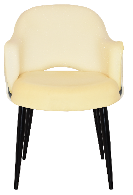 arm chair albury metal black - unupholstered 
