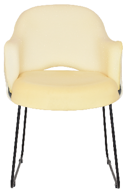 arm chair albury sled black - unupholstered 
