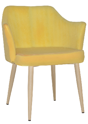 arm chair coogee metal birch - unupholstered 