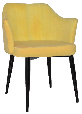 arm chair coogee metal black - unupholstered 