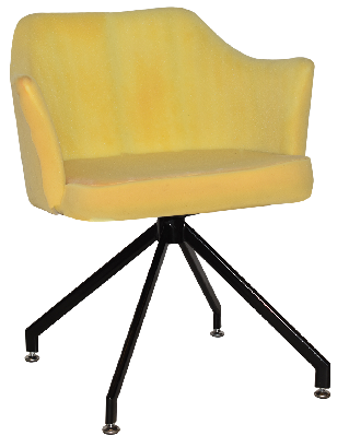 arm chair coogee trestle black - unupholstered 