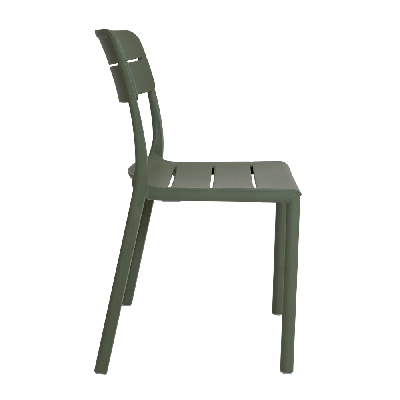 chair cassia cactus 