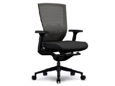 ol lucca mesh back task chair