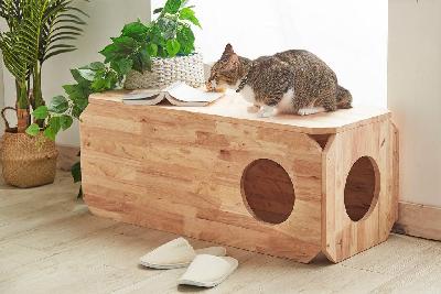 kitten bench default title