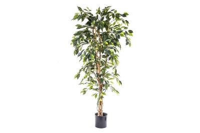 flora artificial ficus tree 1700mm 