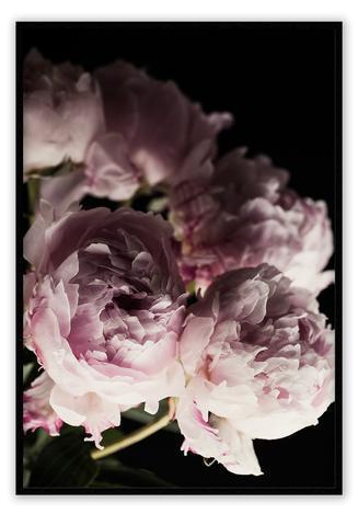 pink bloom xlarge 100x150cm / gold