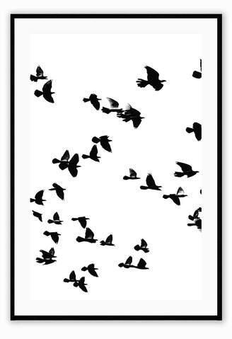 sky birds i medium 60x90cm / white