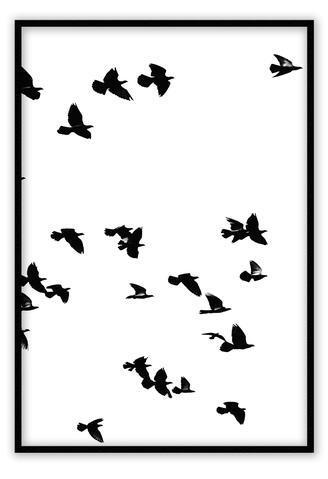sky birds ii medium 60x90cm / white